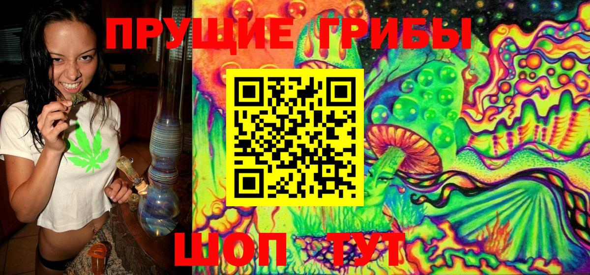 Псилоцибиновые грибы мухоморы Гуково