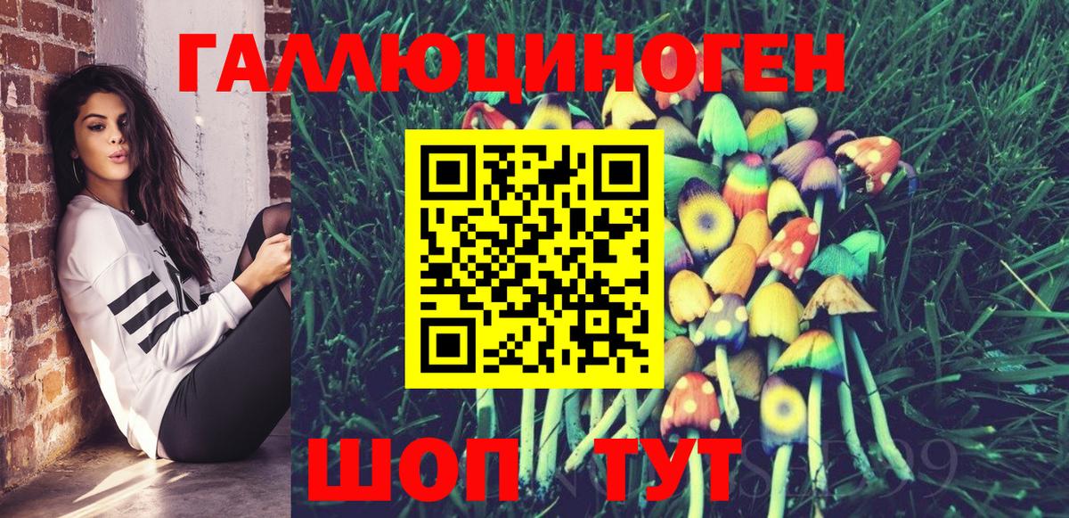 Галлюциногенные грибы Psilocybe  Вход с VPN  Гуково 